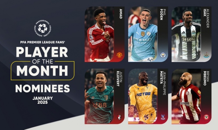 选拔新星的 选拔新星的